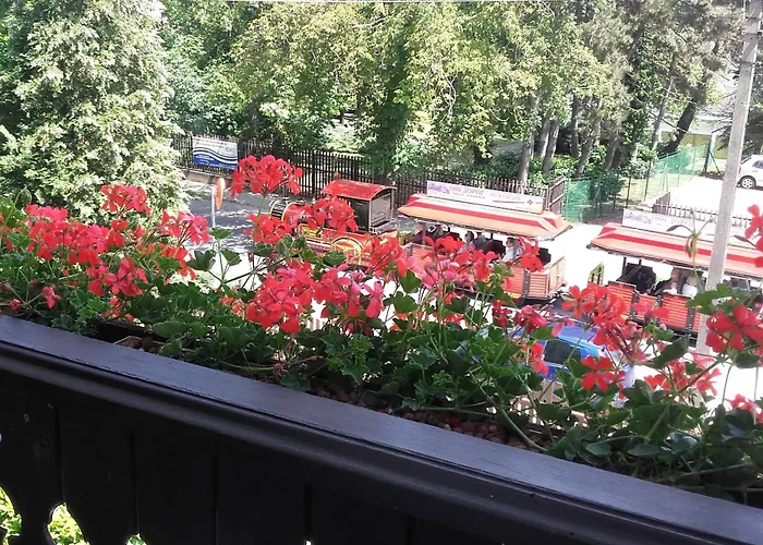 Apartament Gabi *